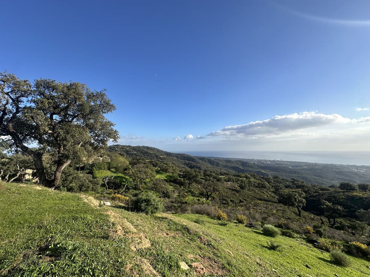 Land in La Mairena — photo 1 of 10