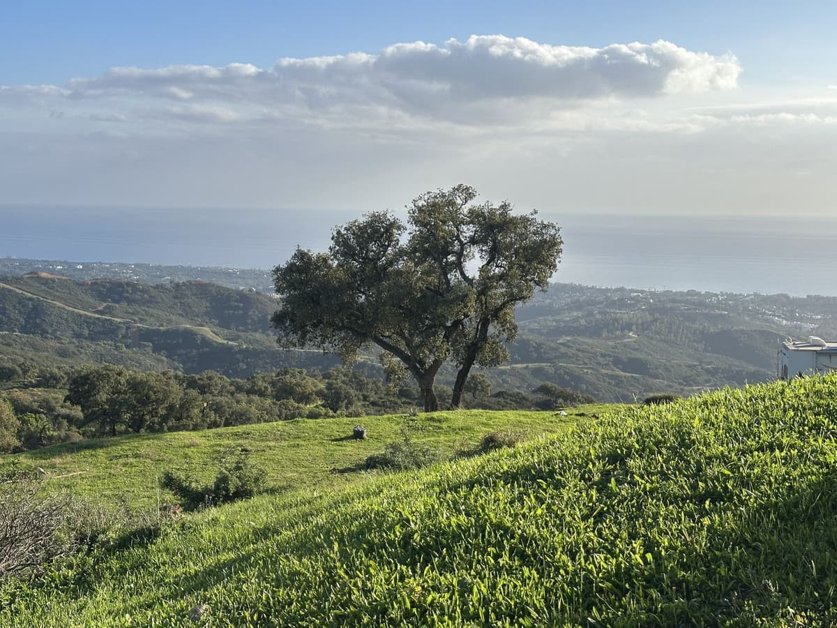 Land in La Mairena — photo 2 of 10