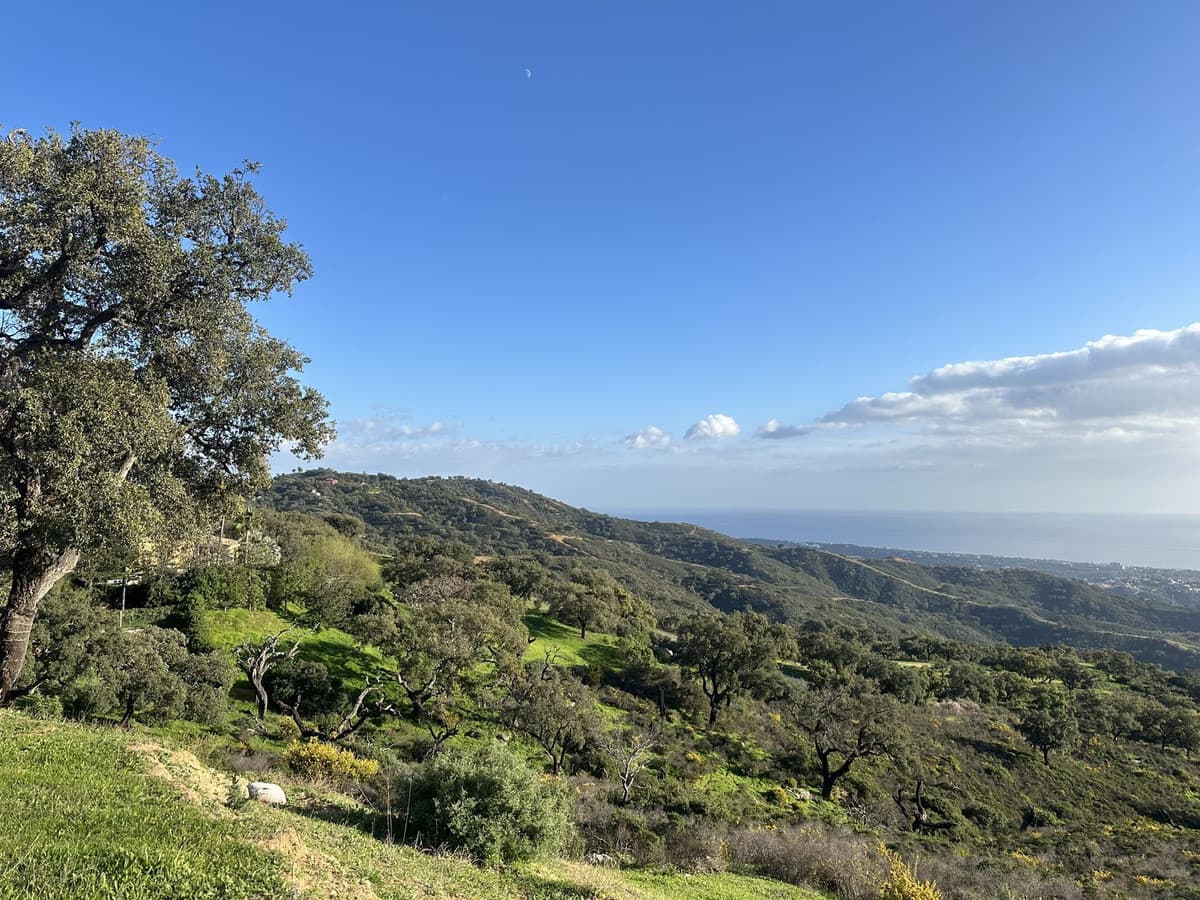 Land in La Mairena — photo 3 of 10