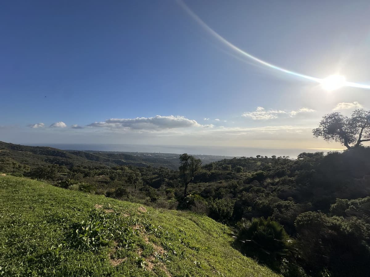 Land in La Mairena — photo 6 of 10
