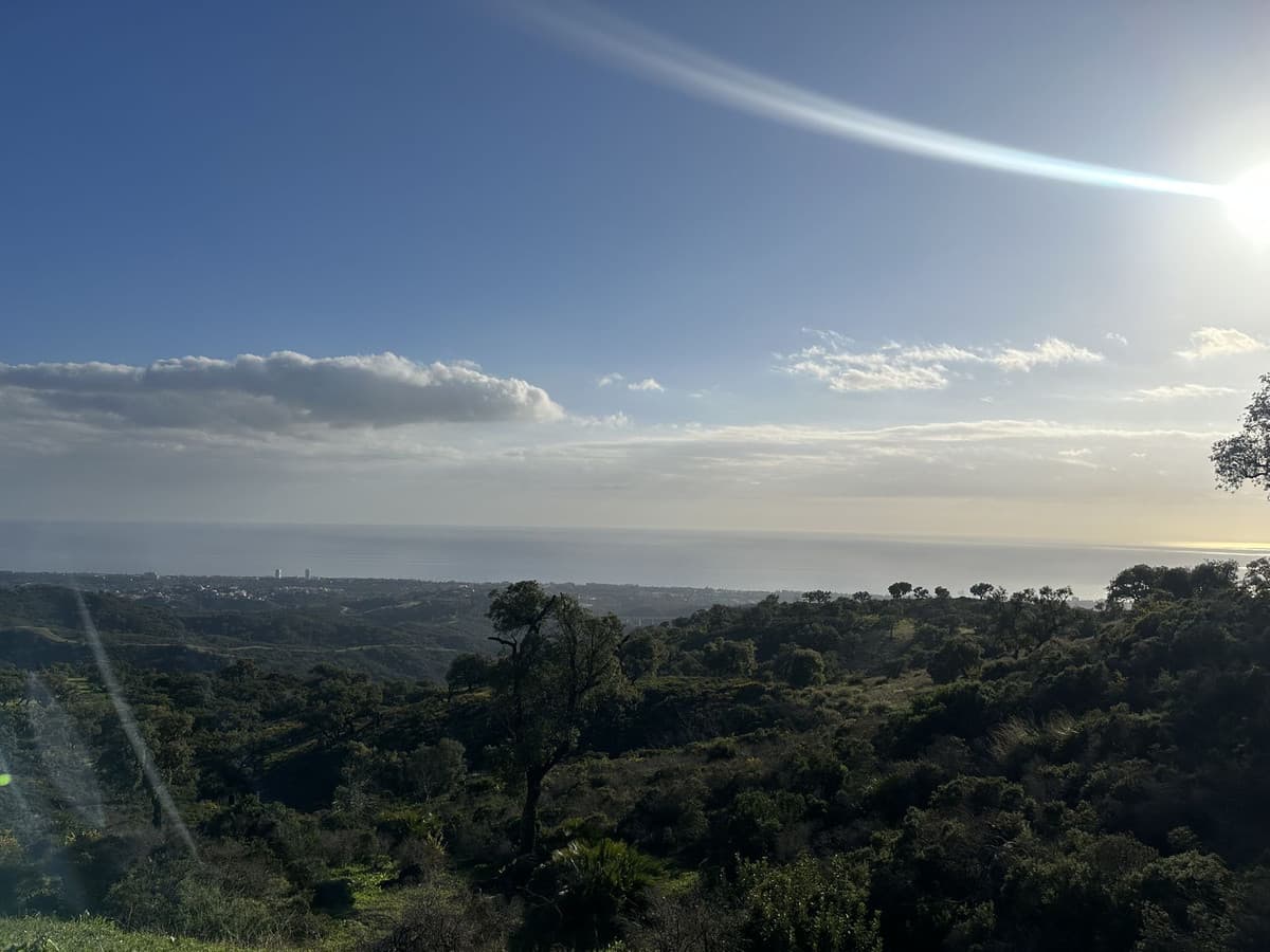 Land in La Mairena — photo 9 of 10