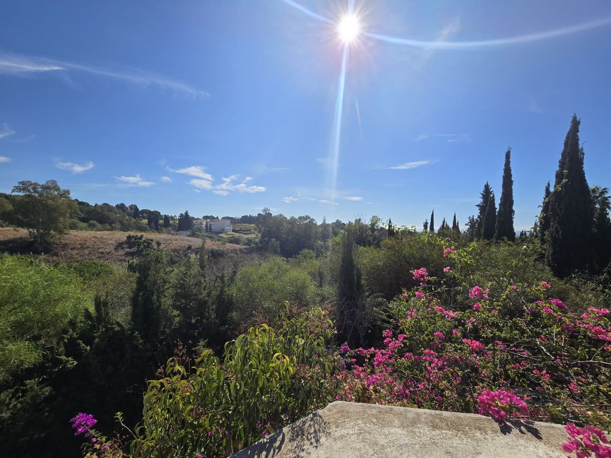 Detached Villa in Marbella — photo 10 of 10