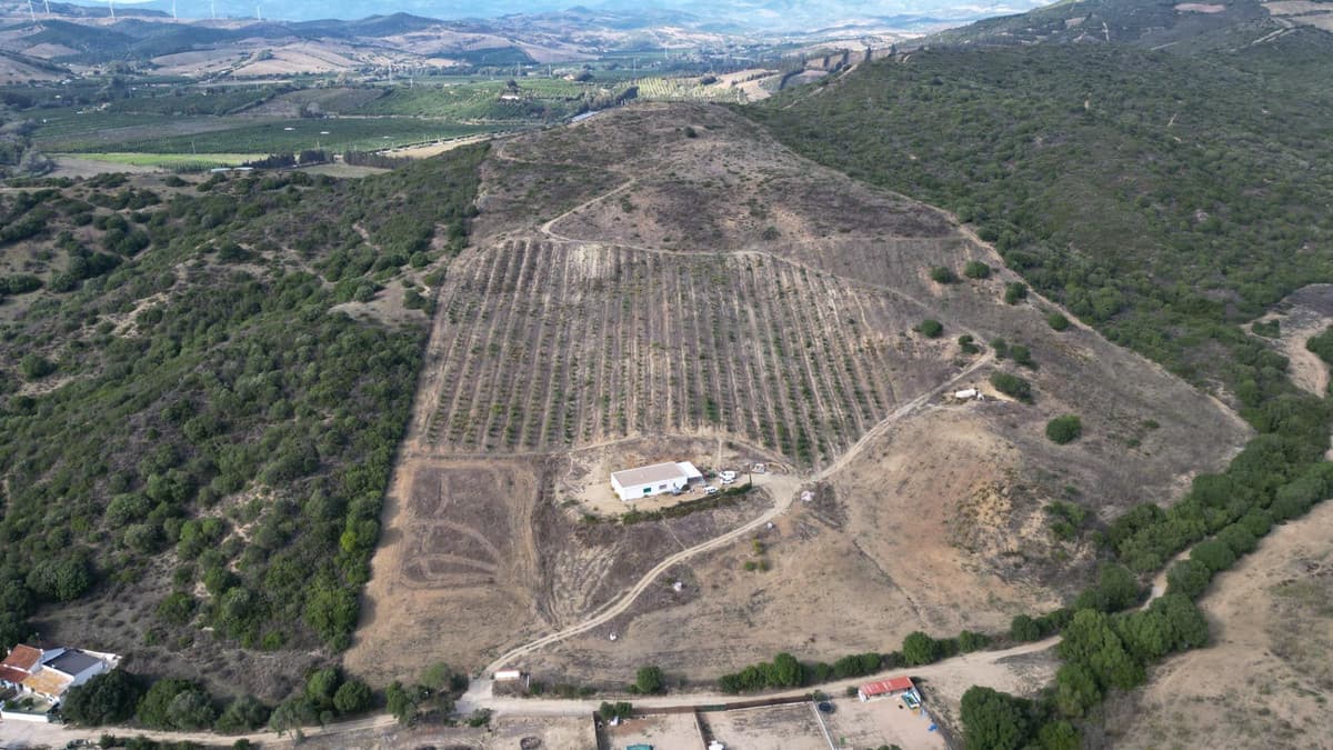 Land in Manilva — photo 6 of 10