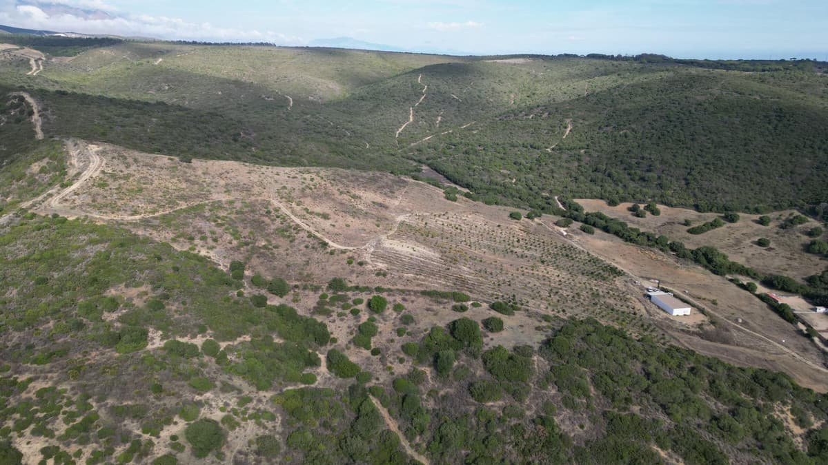 Land in Manilva — photo 10 of 10