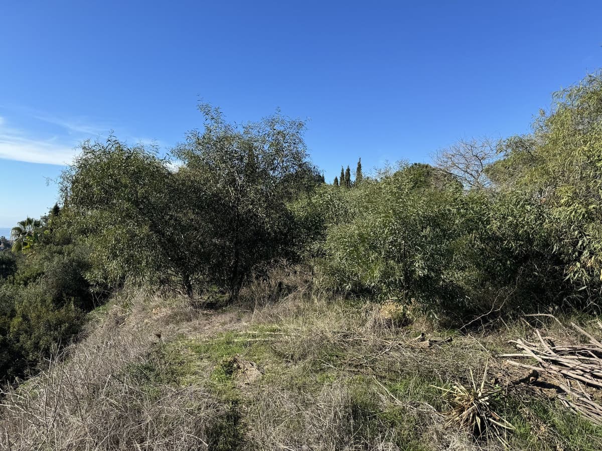 Residential Plot in Elviria — photo 6 of 9