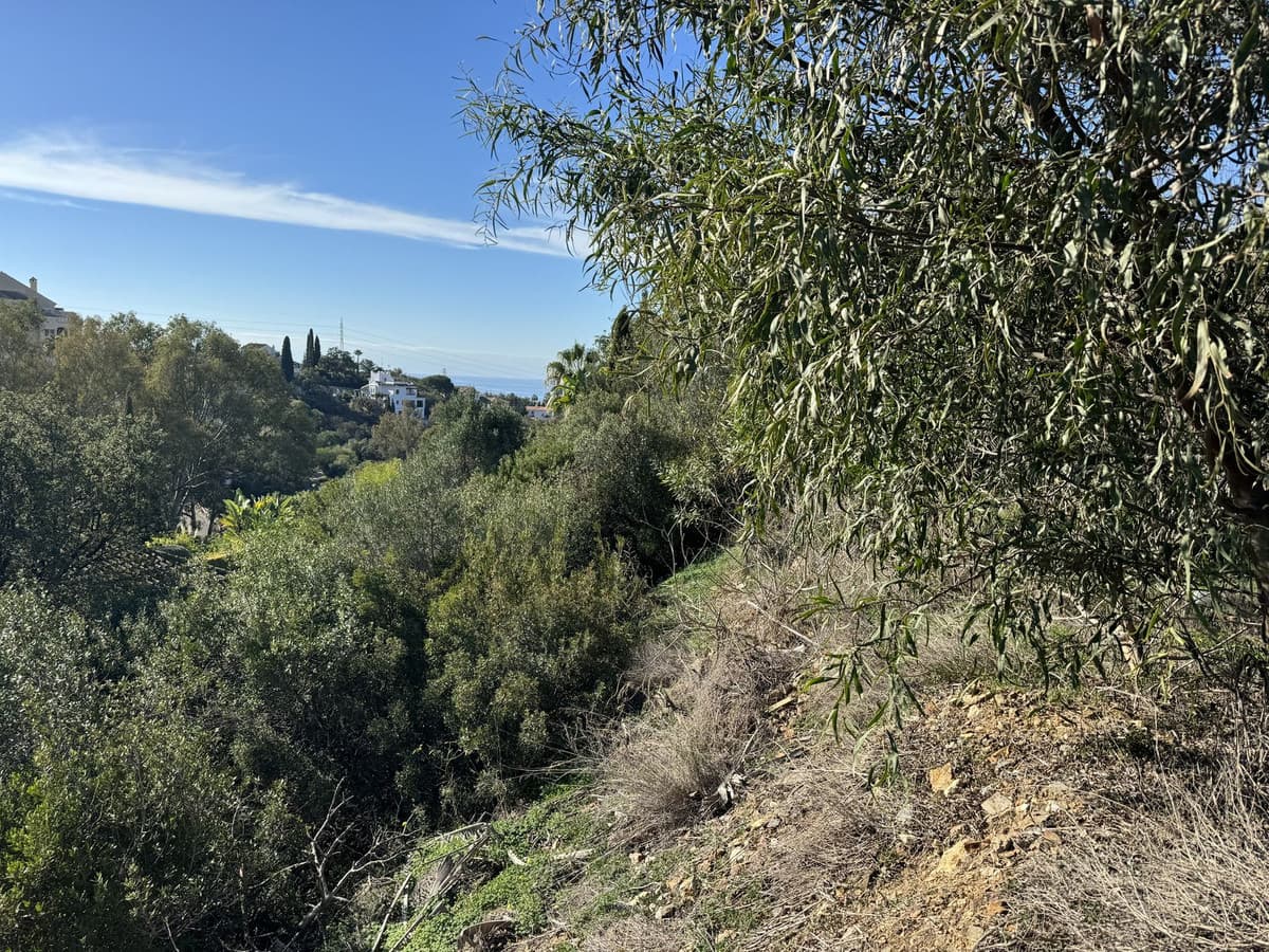Residential Plot in Elviria — photo 8 of 9