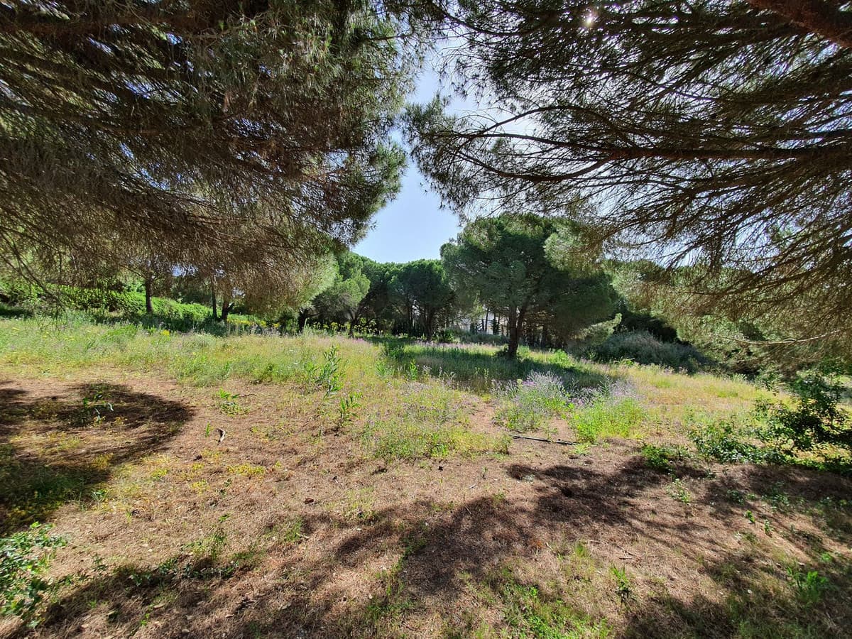Residential Plot in Sotogrande — photo 2 of 8