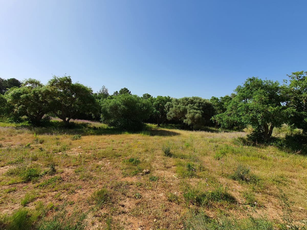 Residential Plot in Sotogrande — photo 3 of 8