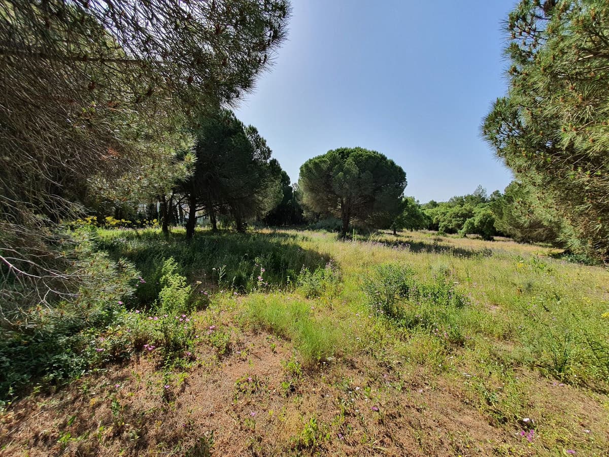 Residential Plot in Sotogrande — photo 5 of 8
