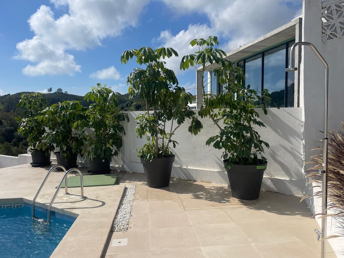 Detached Villa in Cerros del Aguila — photo 8 of 10