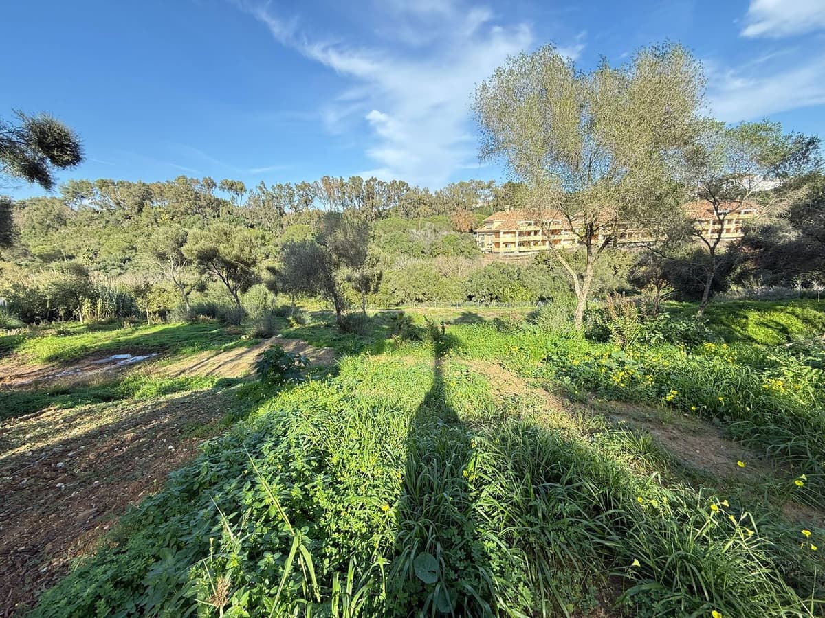 Residential Plot in Sotogrande — photo 7 of 10