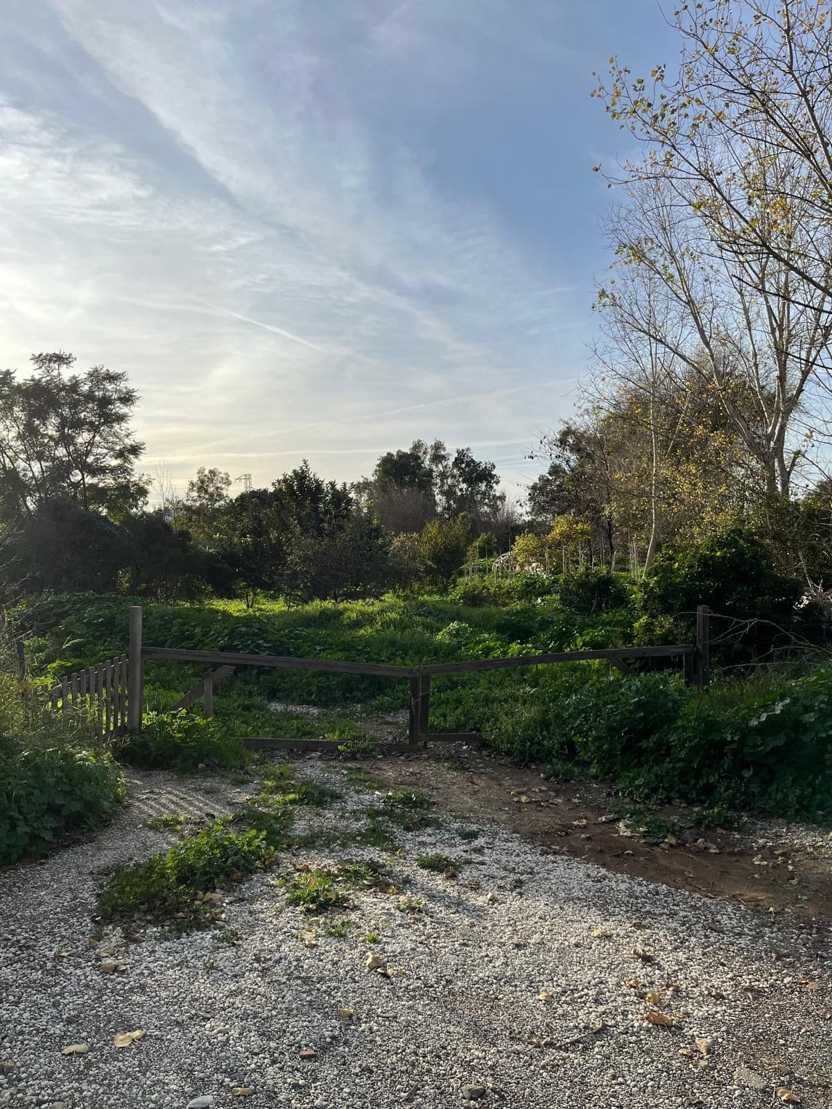 Land in Campanillas — photo 2 of 10