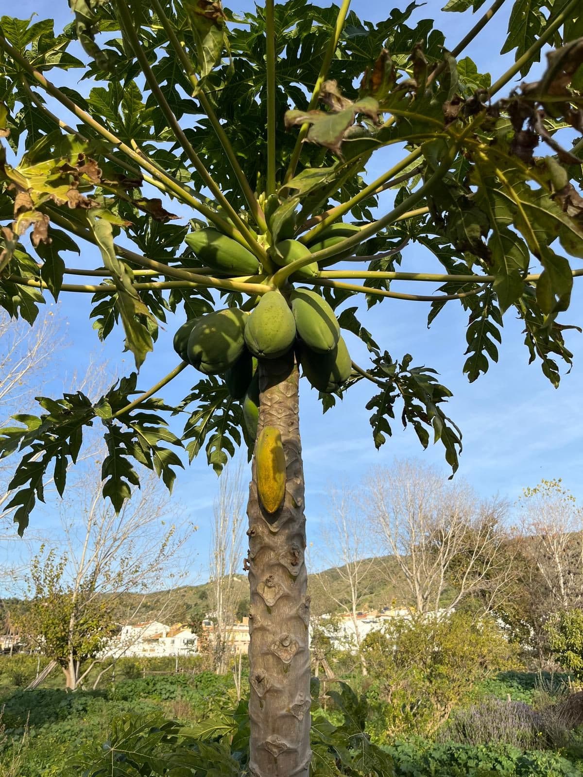Land in Campanillas — photo 4 of 10