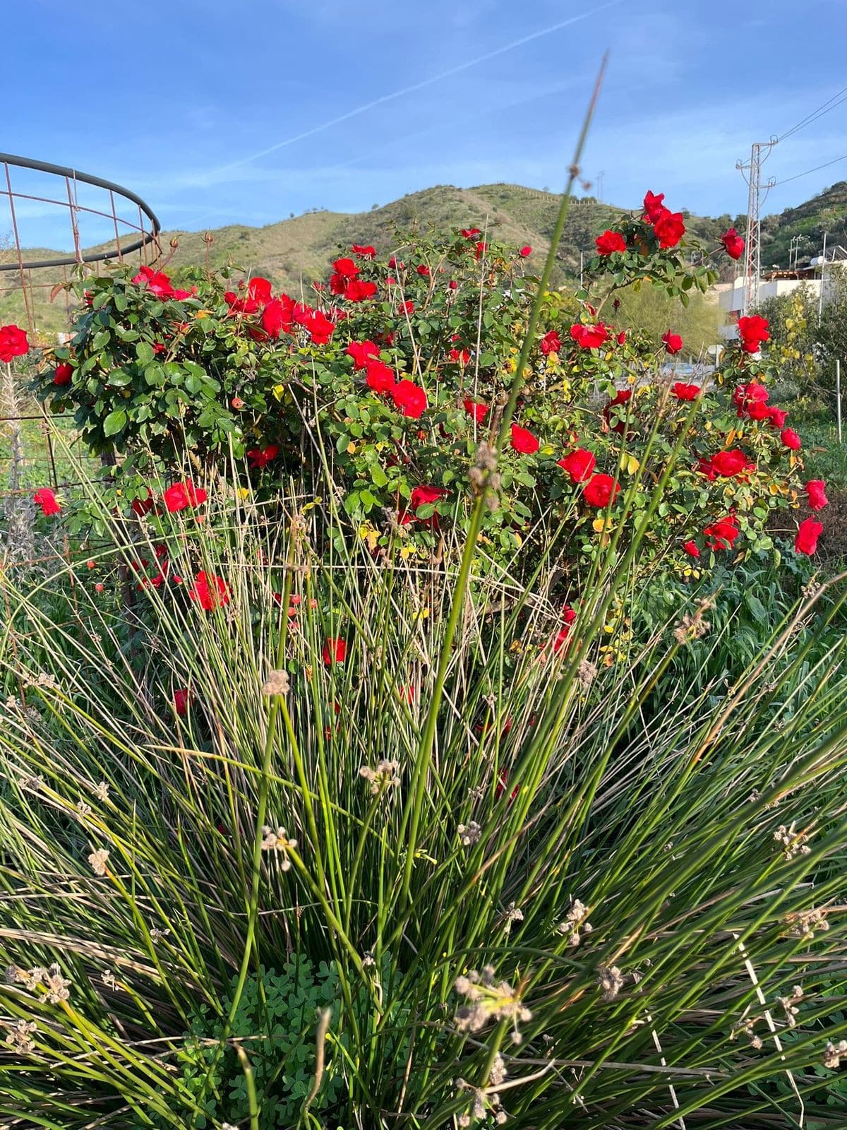 Land in Campanillas — photo 6 of 10