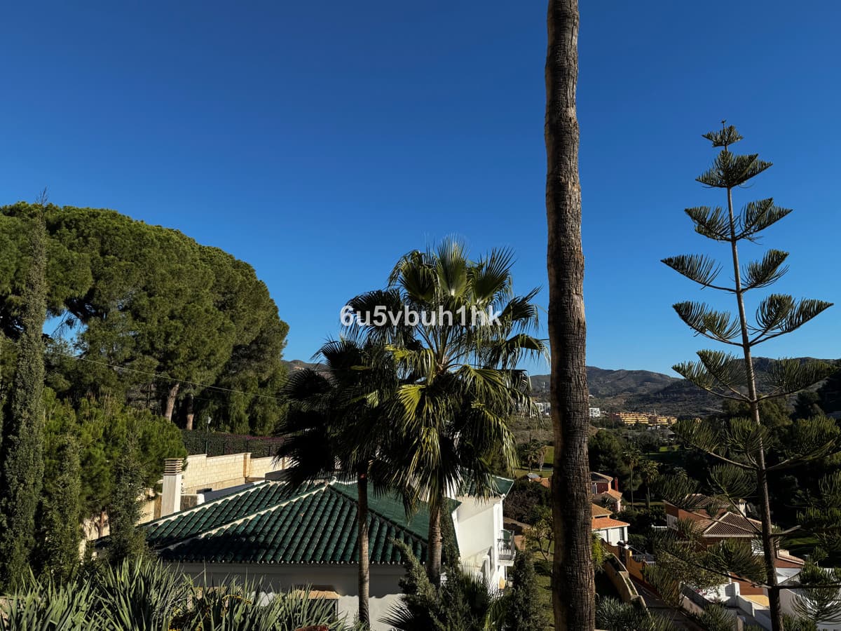 Detached Villa in El Candado — photo 10 of 10