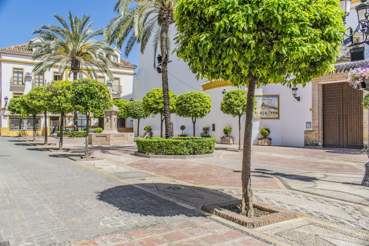 Middle Floor Apartment in Marbella — photo 5 of 10