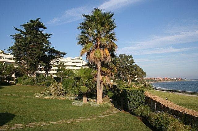 Semi-Detached House in Estepona — photo 9 of 10