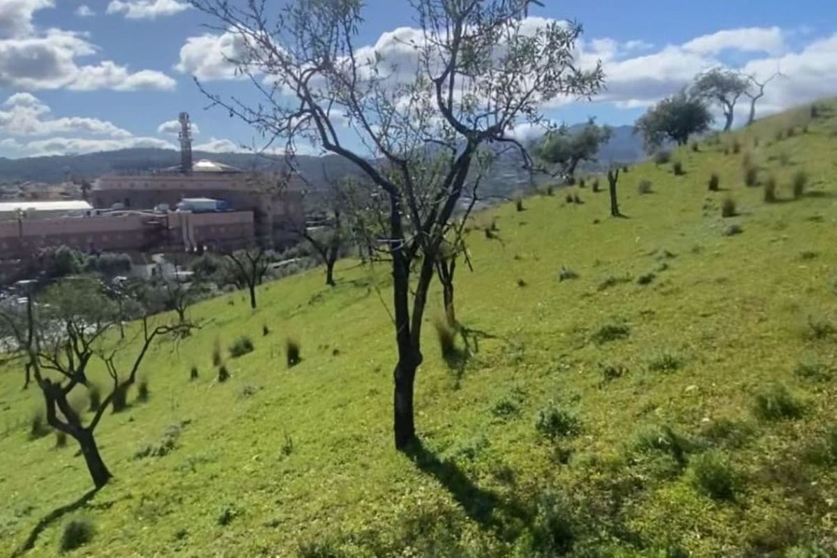 Residential Plot in Coín — photo 4 of 5