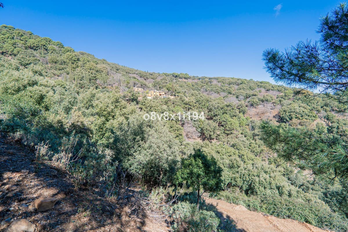 Cortijo in Jubrique — photo 2 of 10