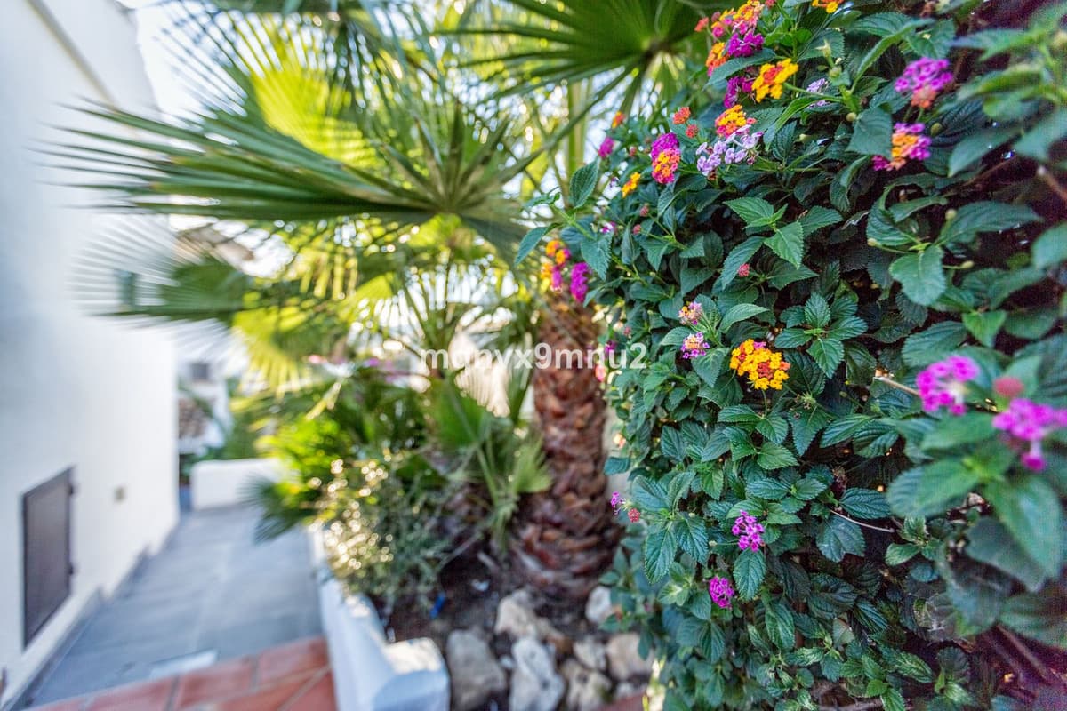 Detached Villa in El Chaparral — photo 7 of 10