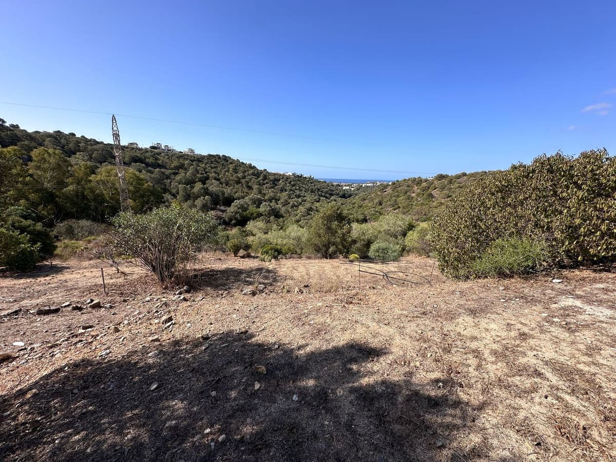 Land in Cabopino — photo 2 of 9