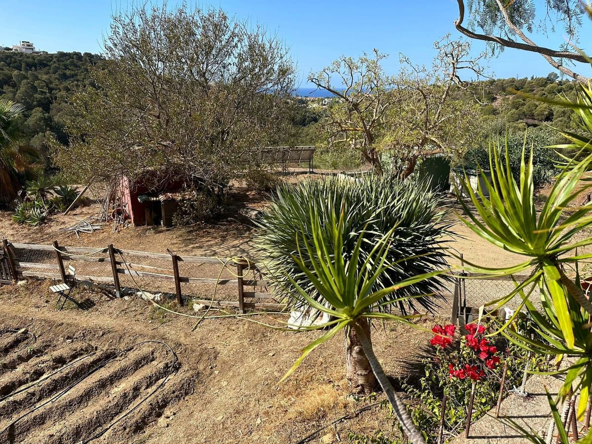 Land in Cabopino — photo 8 of 9