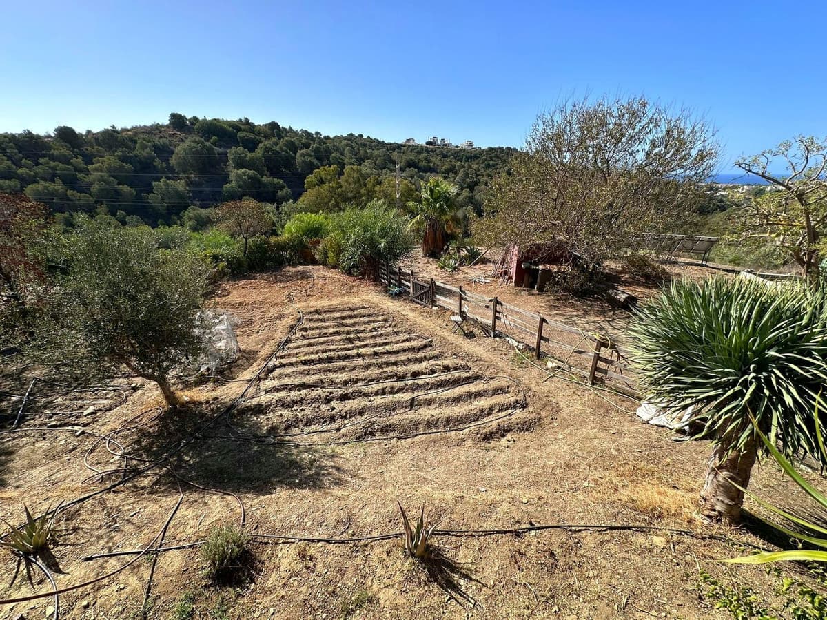 Land in Cabopino — photo 9 of 9