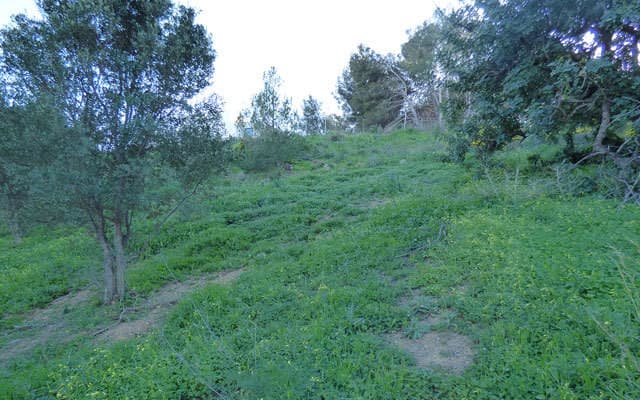 Residential Plot in Benalmadena Pueblo — photo 4 of 7