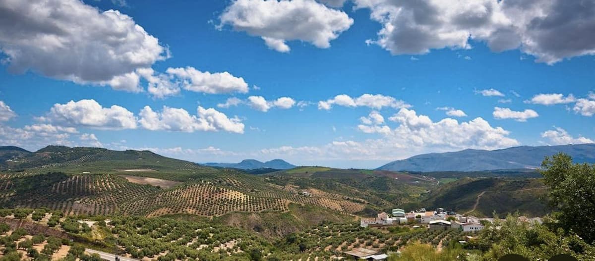 Residential Plot in Antequera — photo 1 of 10