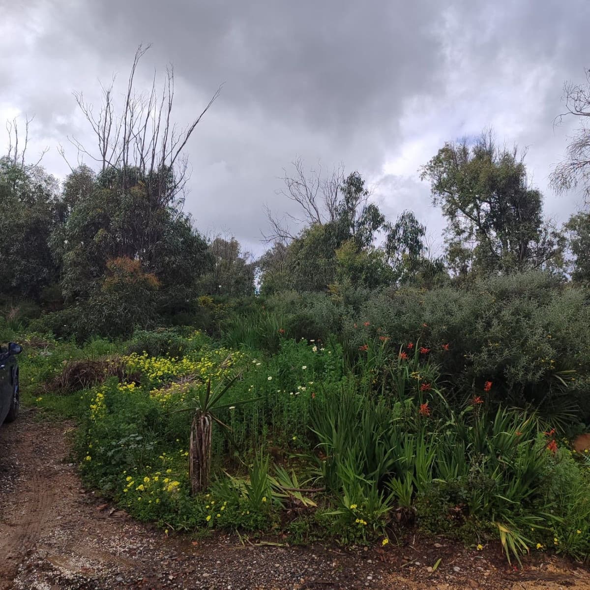 Residential Plot in Manilva — photo 10 of 10