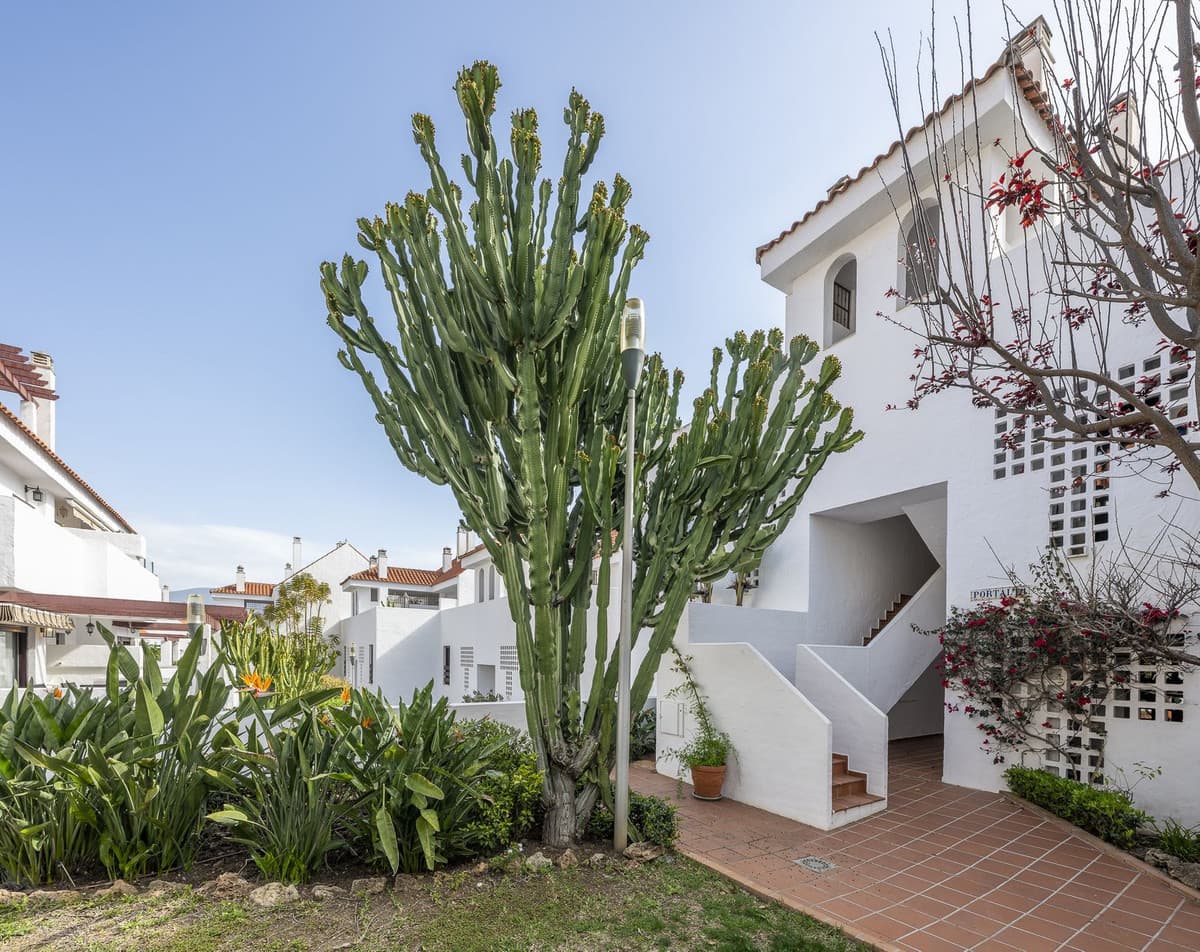 Middle Floor Apartment in Nueva Andalucía — photo 9 of 10