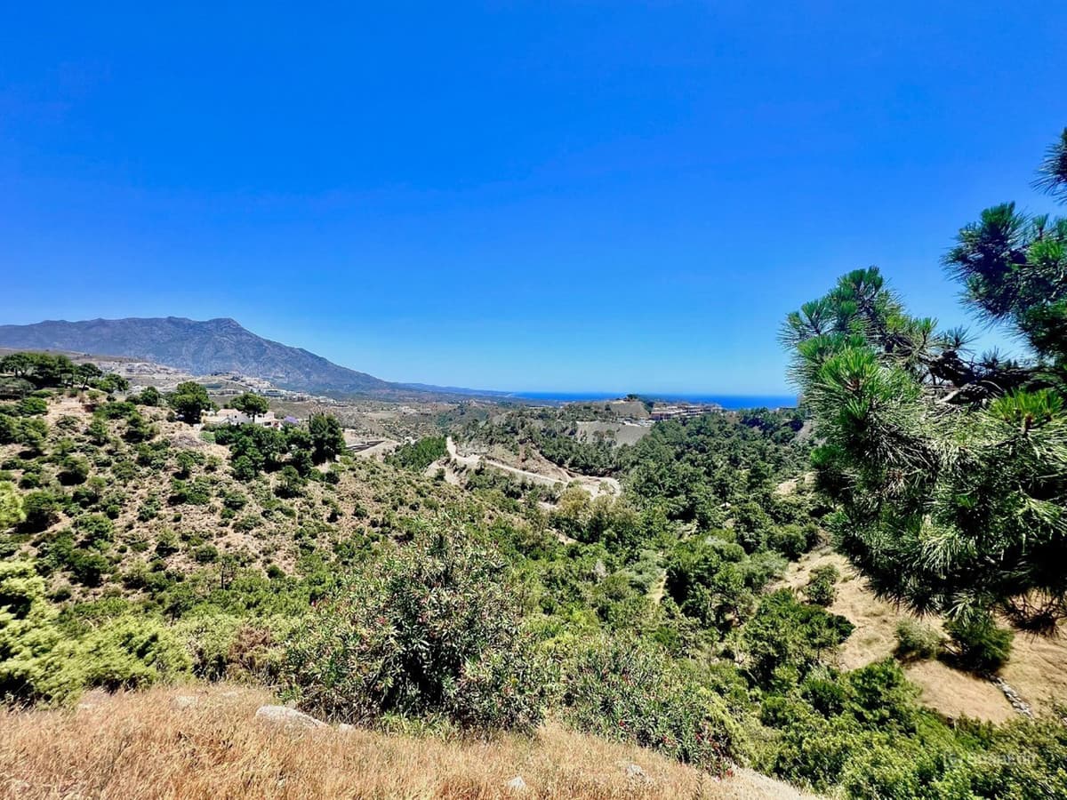 Residential Plot in El Madroñal — photo 7 of 10