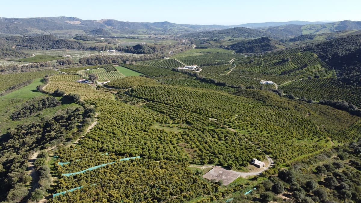 Land in Casares — photo 3 of 10