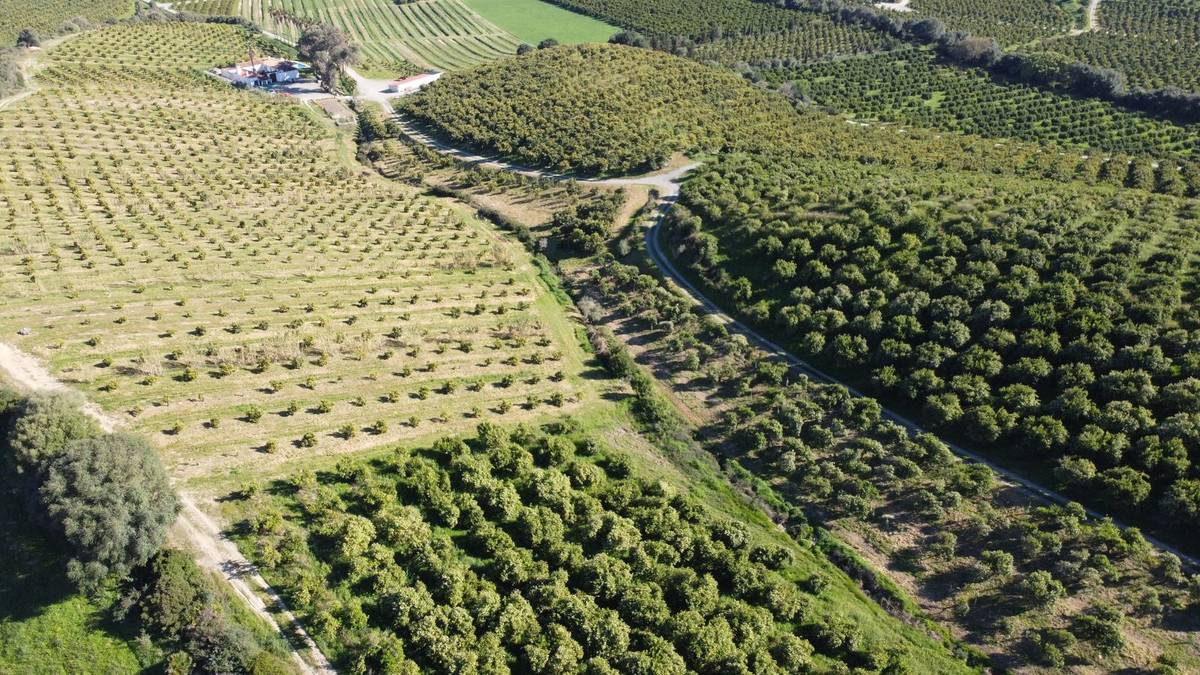 Land in Casares — photo 5 of 10