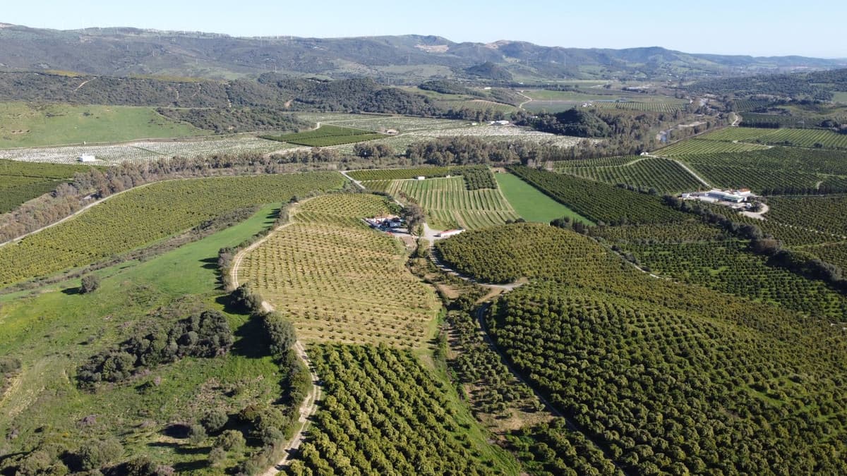 Land in Casares — photo 7 of 10