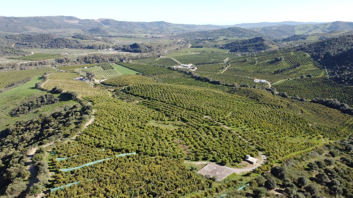 Land in Casares — photo 9 of 10