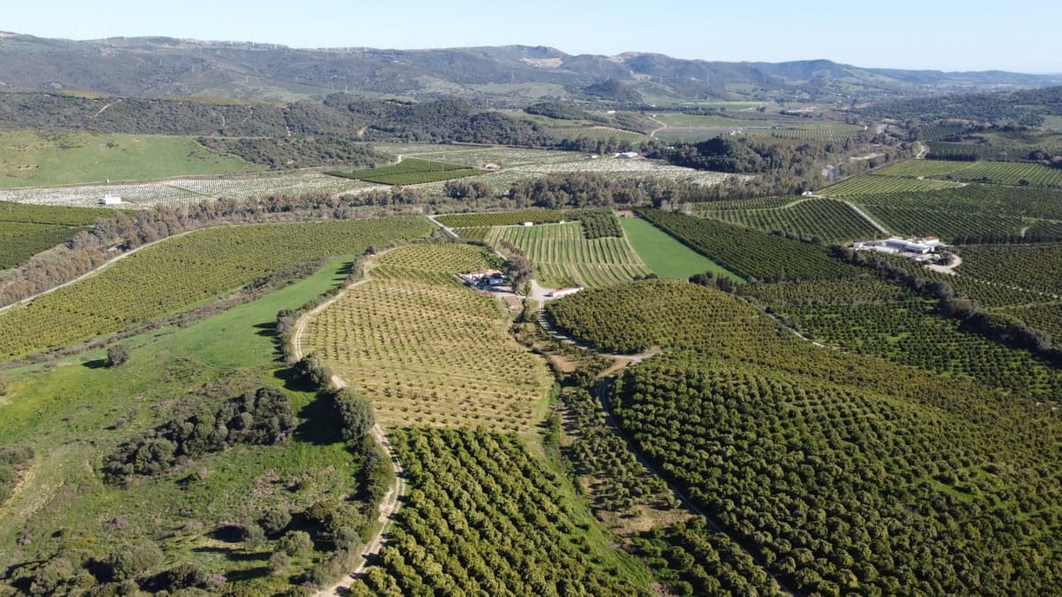 Land in Casares — photo 10 of 10