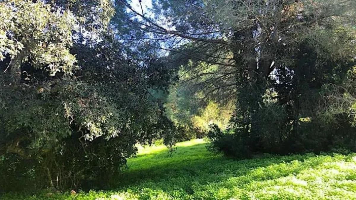 Residential Plot in Sotogrande Alto — photo 2 of 6