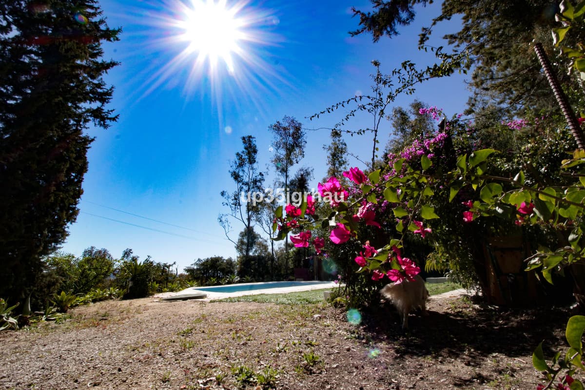Detached Villa in Gaucín — photo 10 of 10