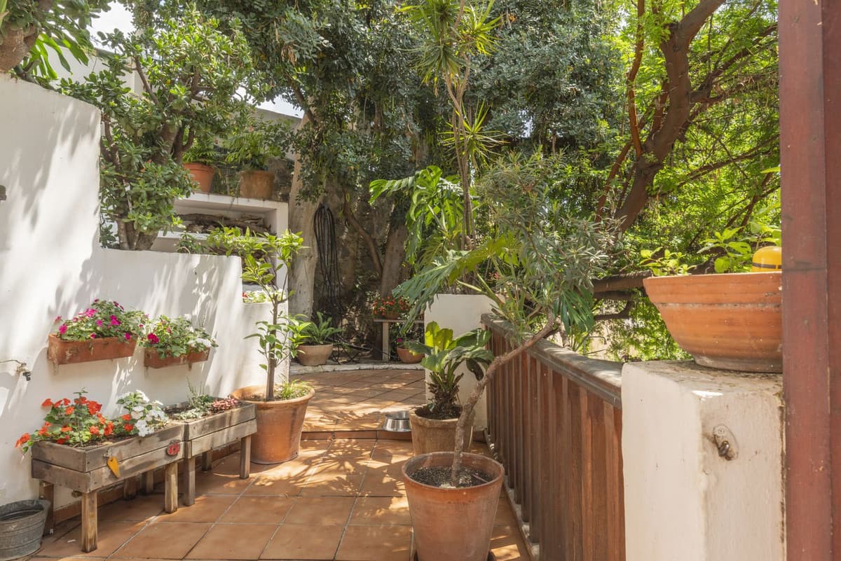 Detached Villa in Monte Sancha — photo 4 of 10