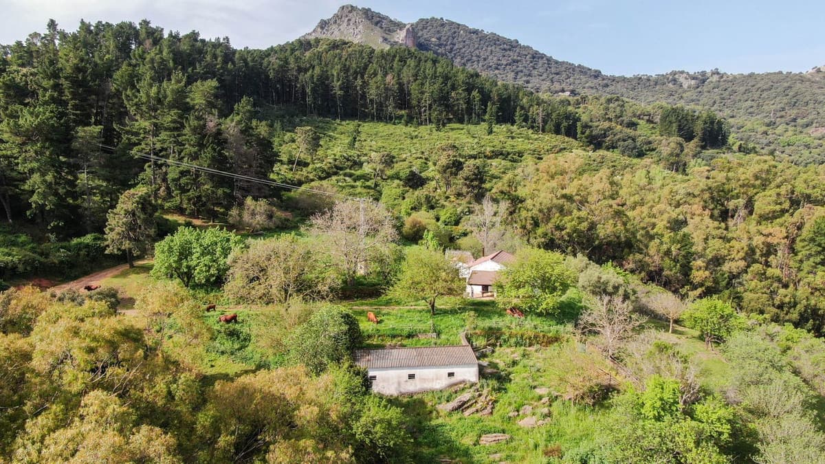 Cortijo in Gaucín — photo 2 of 10