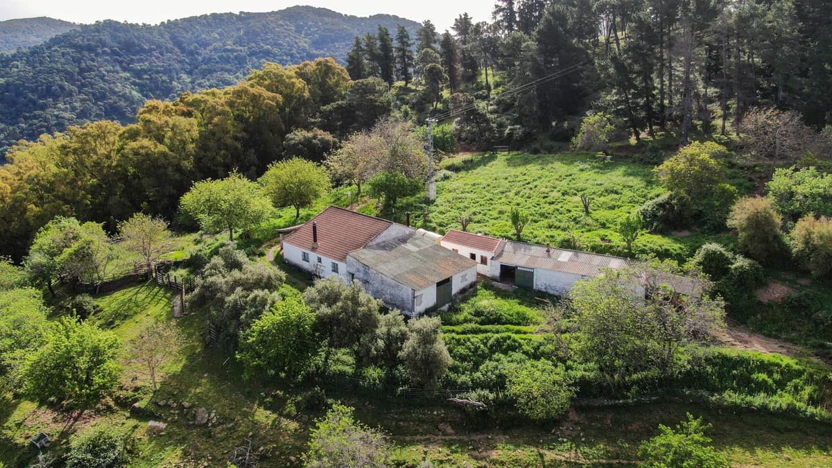 Cortijo in Gaucín — photo 4 of 10