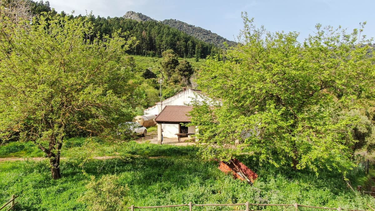 Cortijo in Gaucín — photo 9 of 10