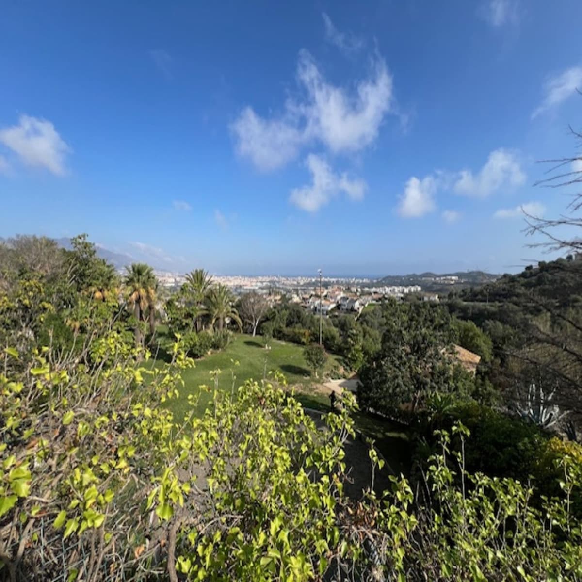 Residential Plot in Cerros del Aguila — photo 4 of 4