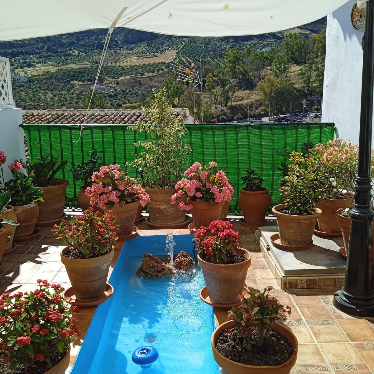 Townhouse in Alora — photo 2 of 10