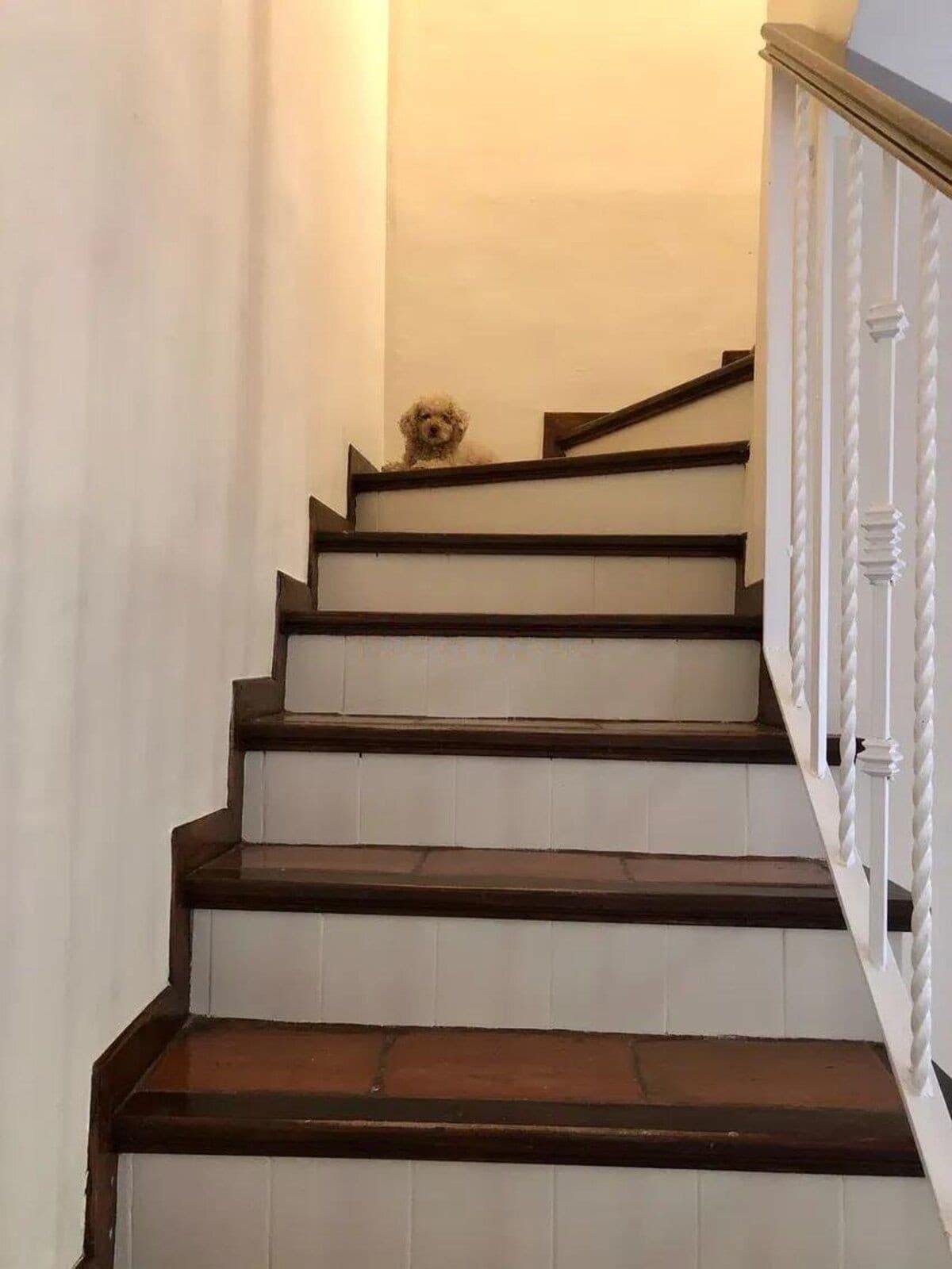 Townhouse in Guadalmina Baja — photo 10 of 10
