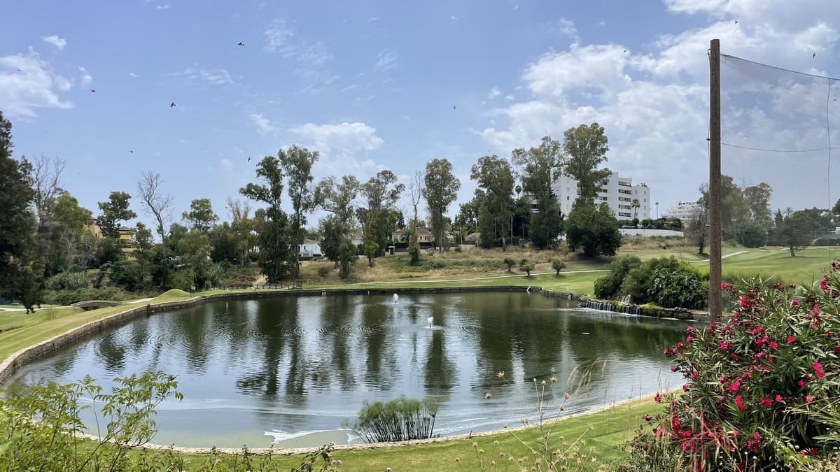Top Floor Apartment in Guadalmina Alta — photo 3 of 10