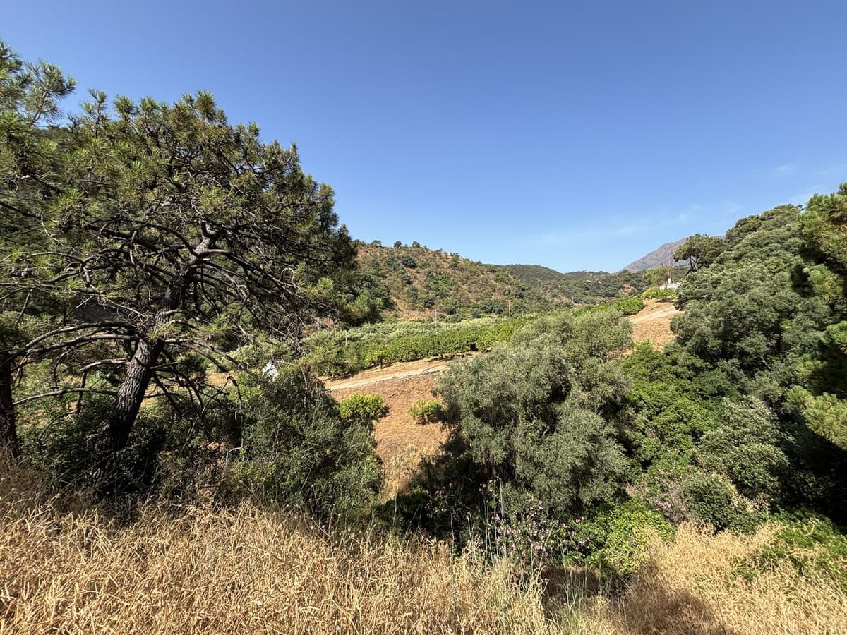 Land in El Padron — photo 2 of 10