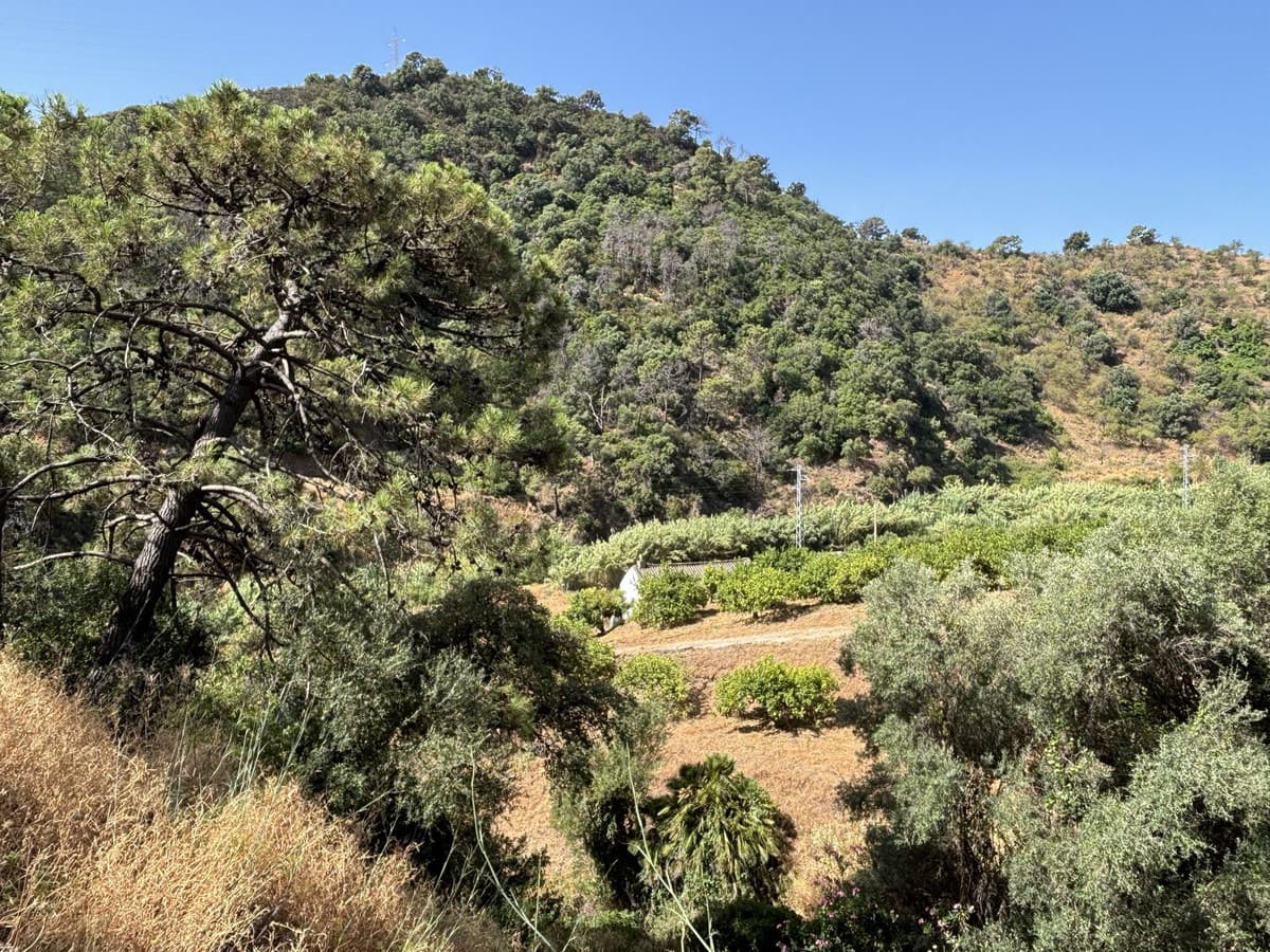 Land in El Padron — photo 3 of 10