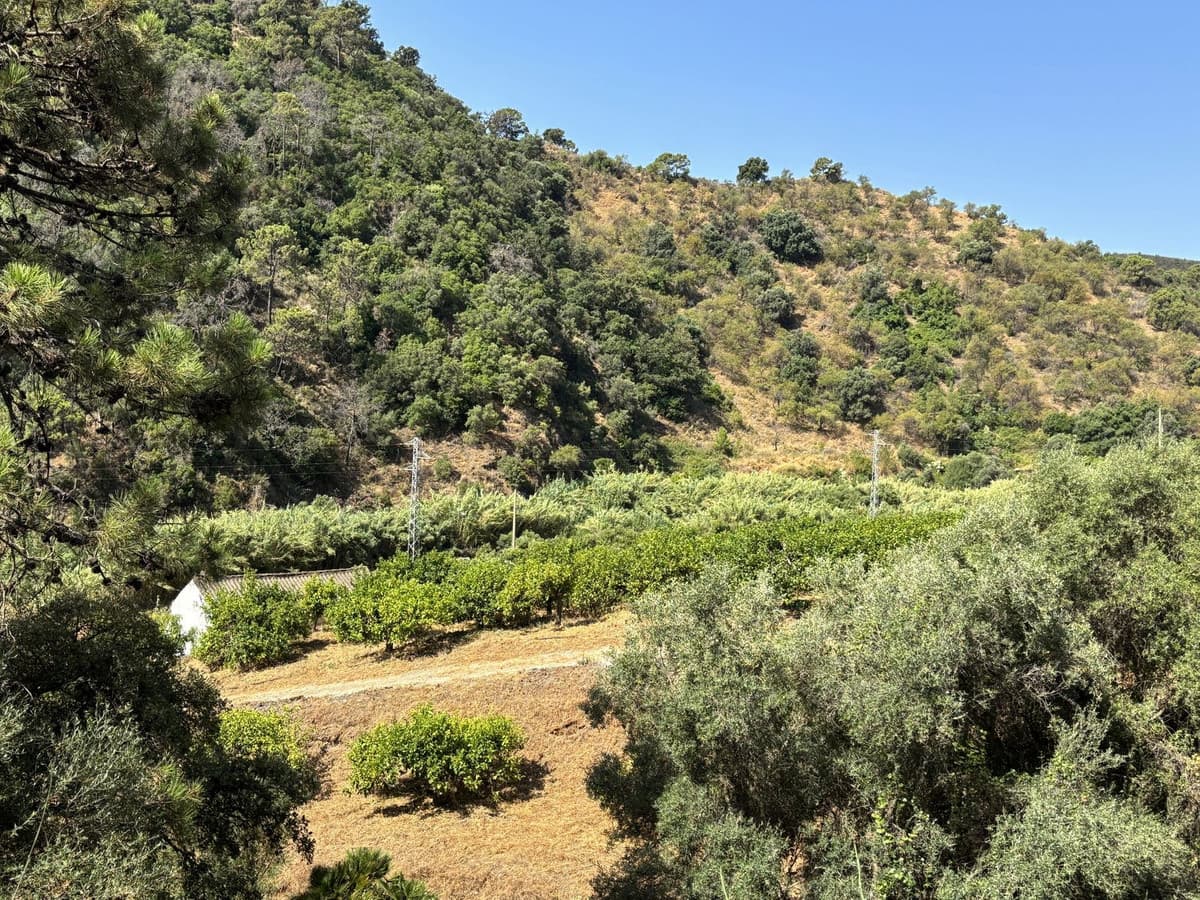 Land in El Padron — photo 4 of 10